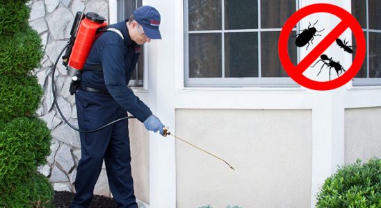 Tekkeköy Bit İlaçlama böcek ilaçlama ve haşere kontrolü — ilaclama-tr.com
